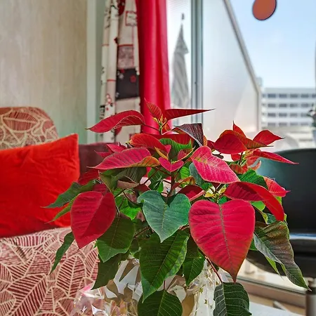 Apartamento Be Room Elefantes *